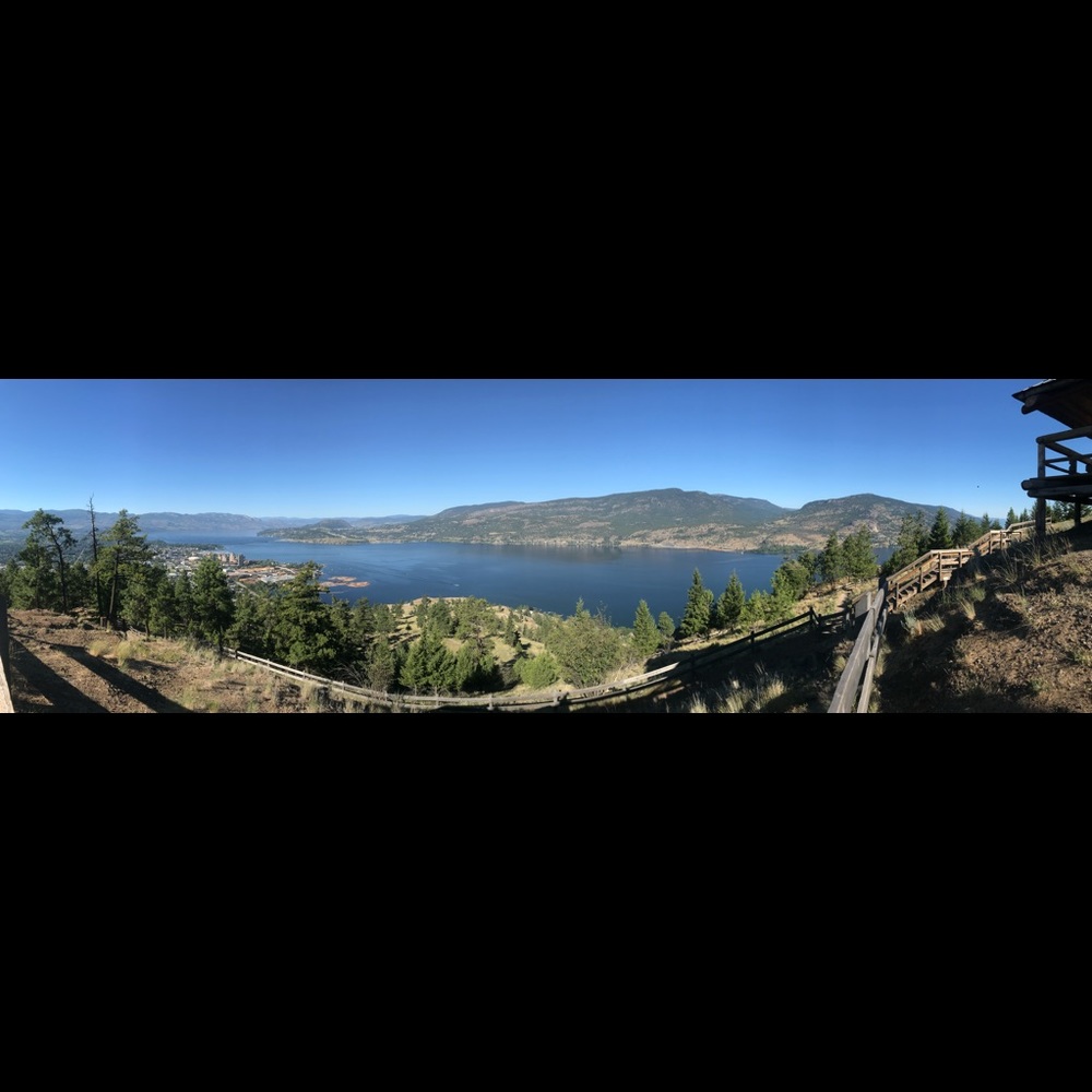 Meet your Posher, Maya